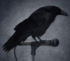 Аватар для crow_82
